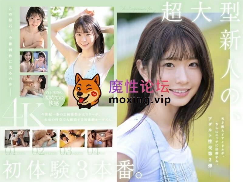 《MP4/17.98 GB》《BT下載》《高中生美少女系列第1306彈》 [-]