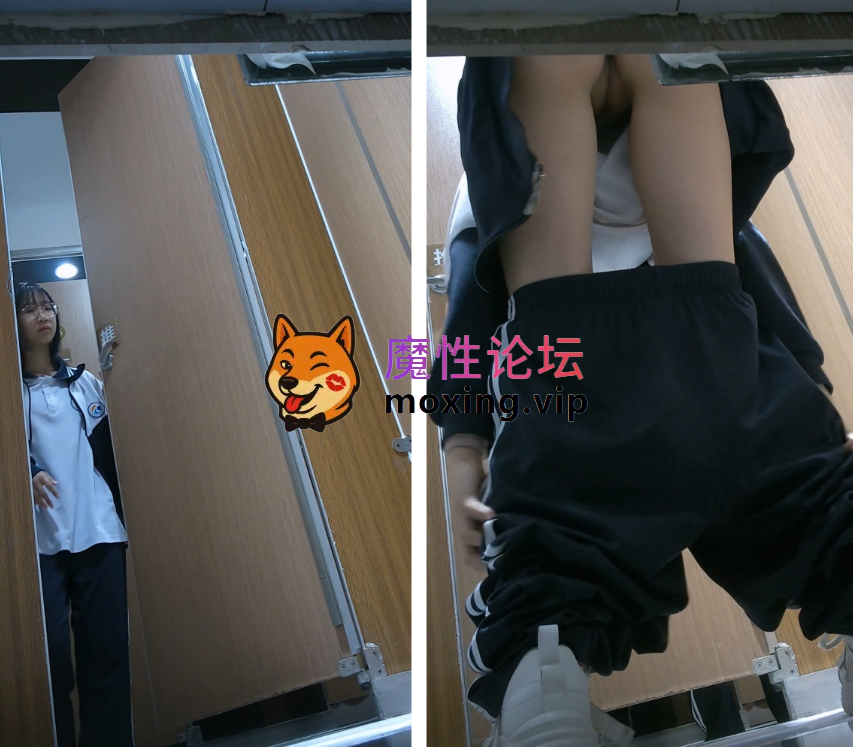 ㊙️《全网稀缺 无水原档27部》万人求㊙️高校校服厕拍系列㊙️很多极品处女嫩穴特写《27V/7.1G》 [几V多大-]