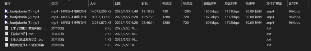 Footjobmin韩国足交大合集（NV合1）-原nv+32G [3V-24GB]