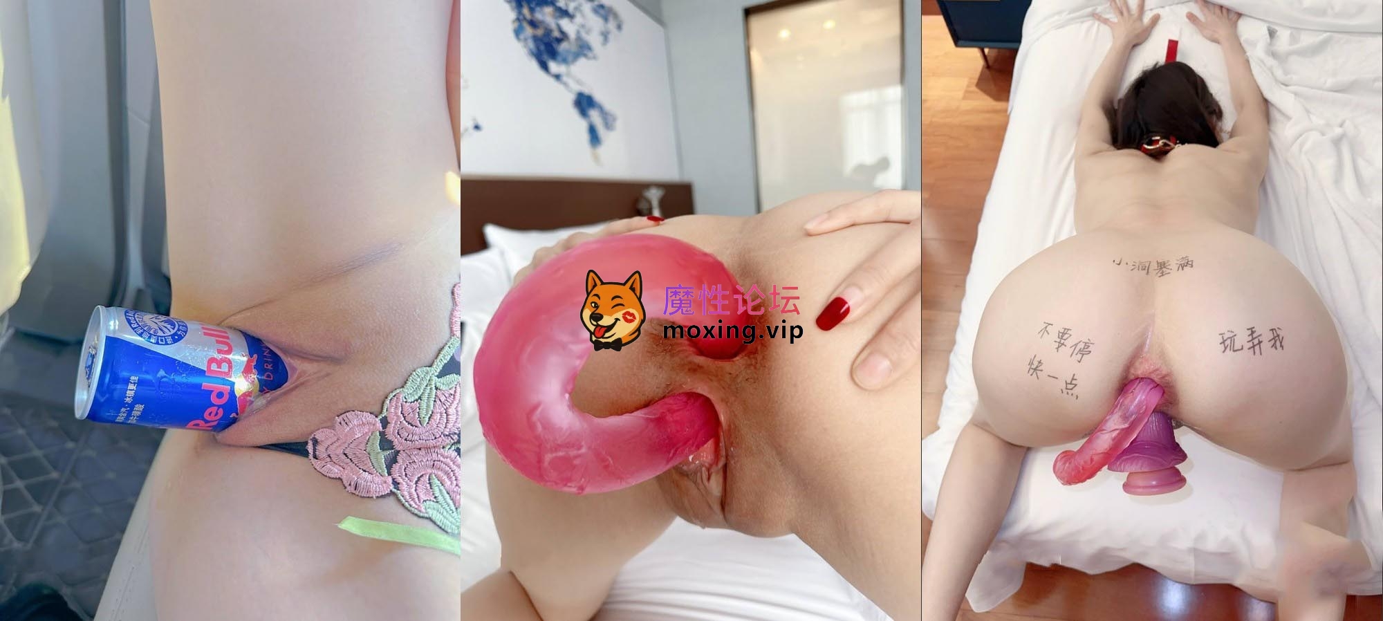 《BT》字母猎奇必备！极度SM，舞蹈生姐姐《依然》各种花样玩法，暴力异物扩张3P女女露出喝尿 [-]