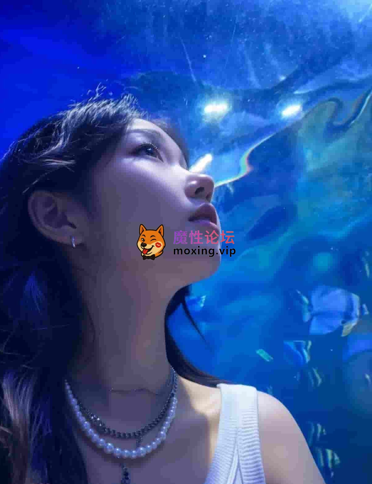 迅雷》白天黄高领红外套清纯自拍、厨房半裸镜拍对比强烈，看着又软又乖；白丝水手服紫蝴蝶结跪着深喉， [-]