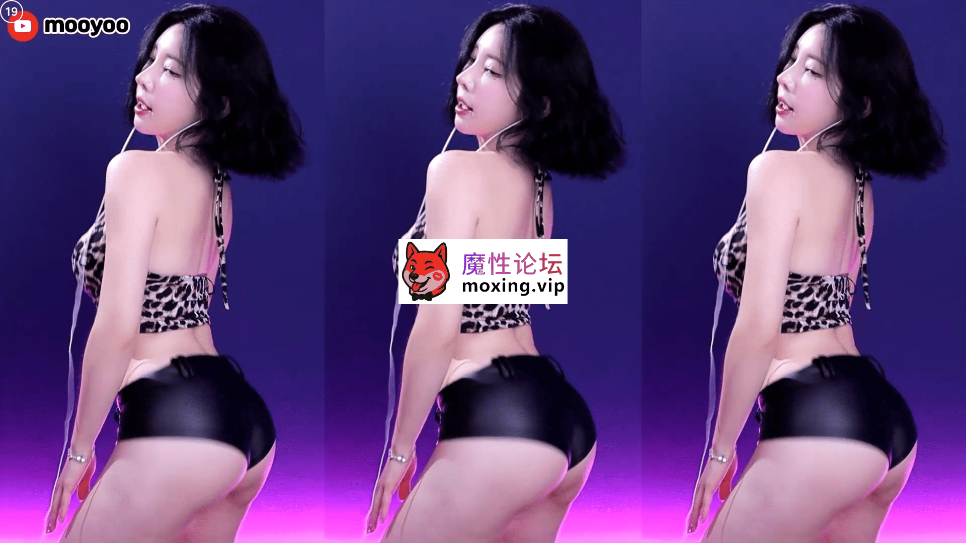 韩国BJ 金牛奶 精选抖胸热舞无水印合集《40V/6.73G/百度》 [-]