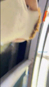 [BT]跟随抄底漂亮美女 透明蕾丝白内内 逼毛清晰可见 大屁屁很性感 [-]