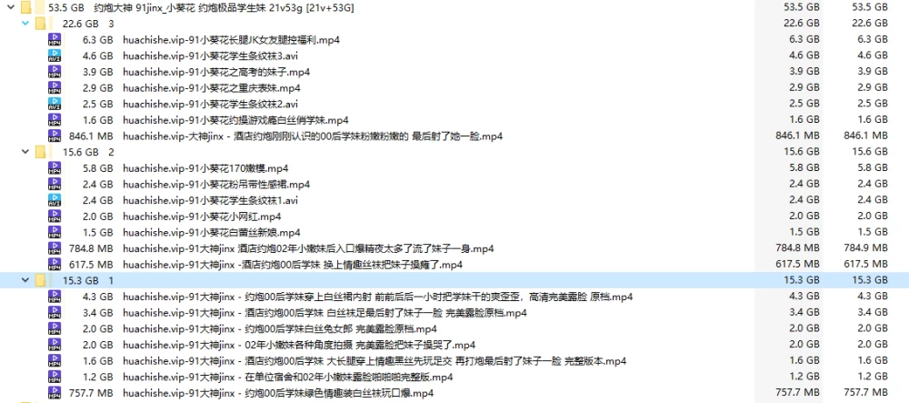 九头身黑丝大长腿JK嫩妹《91小葵花/91jinx》21v53g [21v+53G] [21v-53]