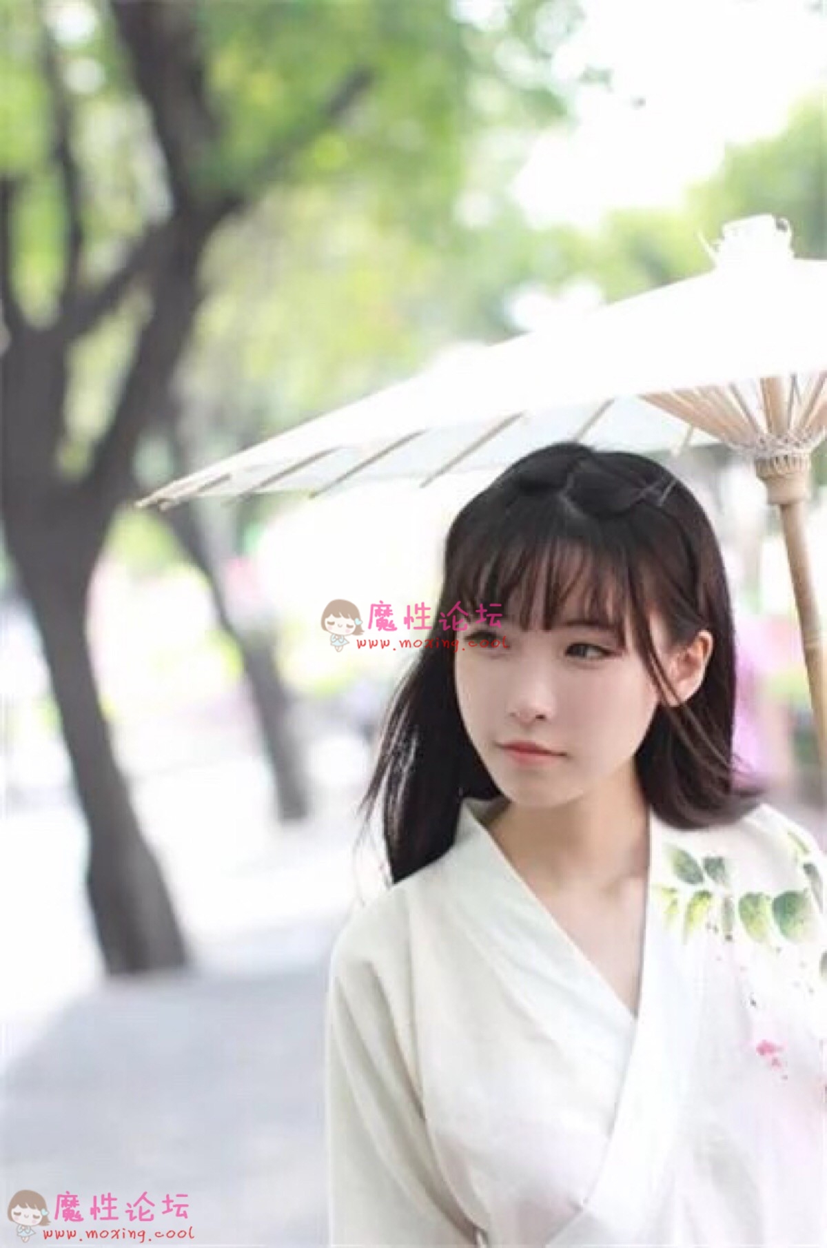 半藏森林无水印套图 《3200P/897M》《百度云》 [-]