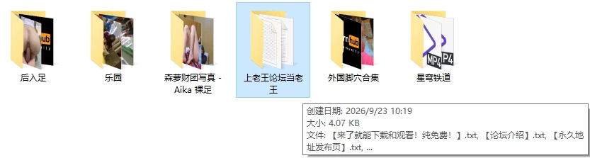 足控终极合集第三期（杂项）！ [20V175P-6.2GB]