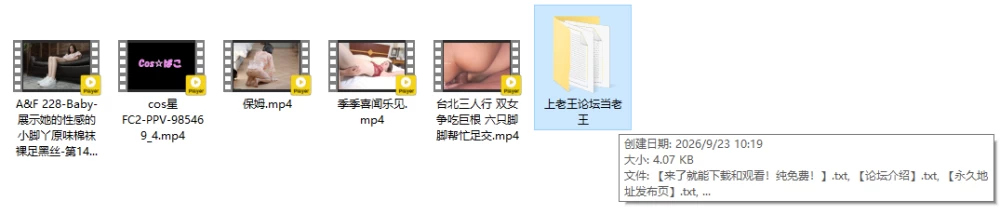 足控终极合集第四期（杂项2）！ [5V-5.5GB]
