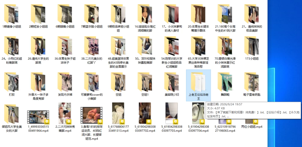 足控终极合集第七期（完结贴）！ [NPNV-11.4GB]