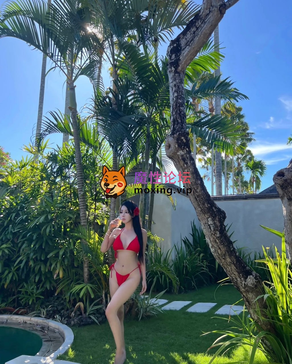 顶级反差女神复出《一只顶美》露脸口交性爱啪啪5月20最新合集 34g142v [-]
