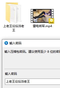 原神cos，雷电将军の木履皮袜足交❤️ [1v-892mb]