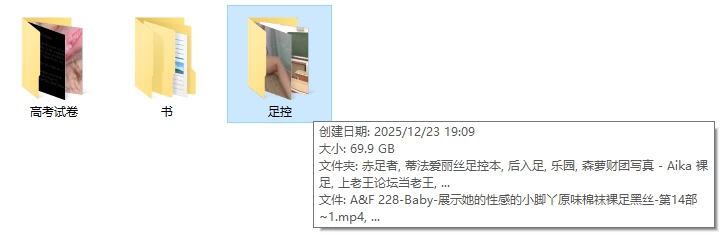 足控终极合集一站式整合版！！！ [NPNVN本-70GB]