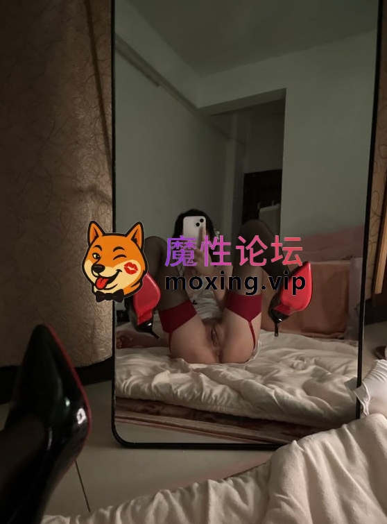 辞宝 推特合集 52P+21V-5.01G  《百度云》 [-]