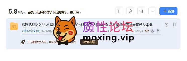 微胖肥臀熟女BBW 某快手女主播线下户外露出开档黑丝自慰 各种情趣制服被大哥后入爆操《1V/388M/BT种子》 [-]