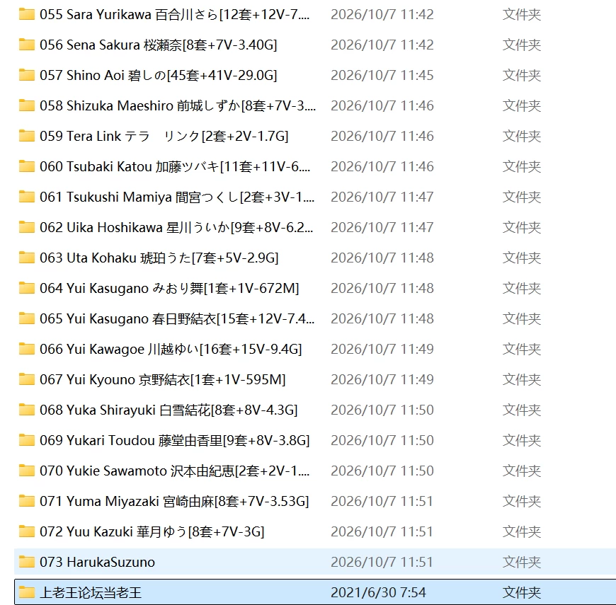 LegsJapan系列 全网所有资源整合大合集 [np 500+V-305GB]